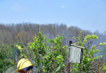 DISTRICT-CONTROLLED BURN IN ASHLAND ADVANCES HABITAT RESTORATION AND REDUCES WILDFIRE RISK