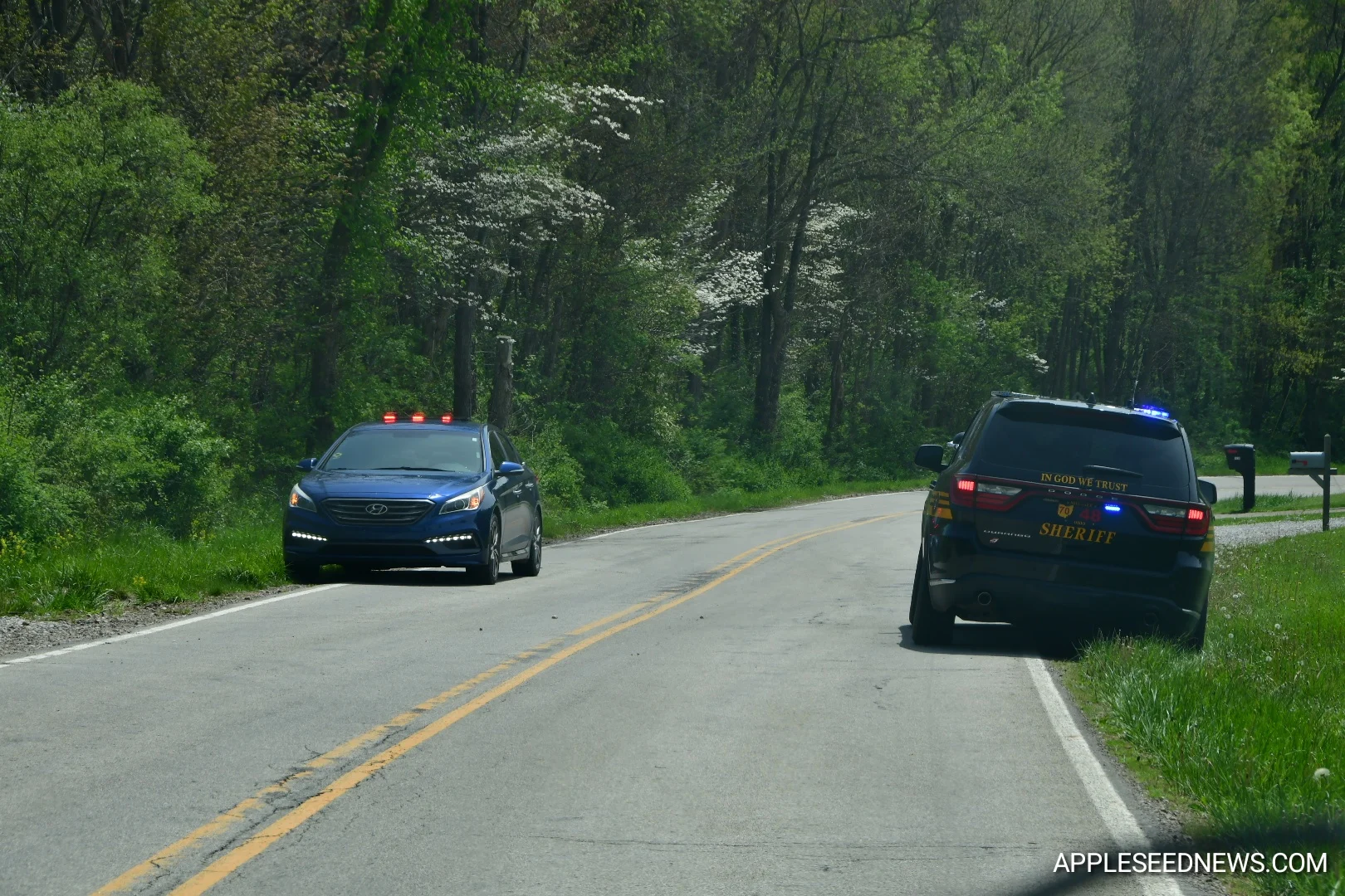 Woman Seriously Injured Pitbull Mix Attack Near Butler; Deputies Shoot Aggressive Animal 4